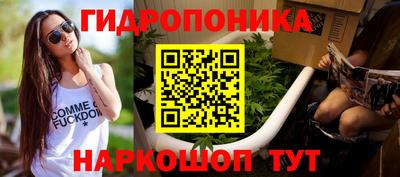 крисы Свободный